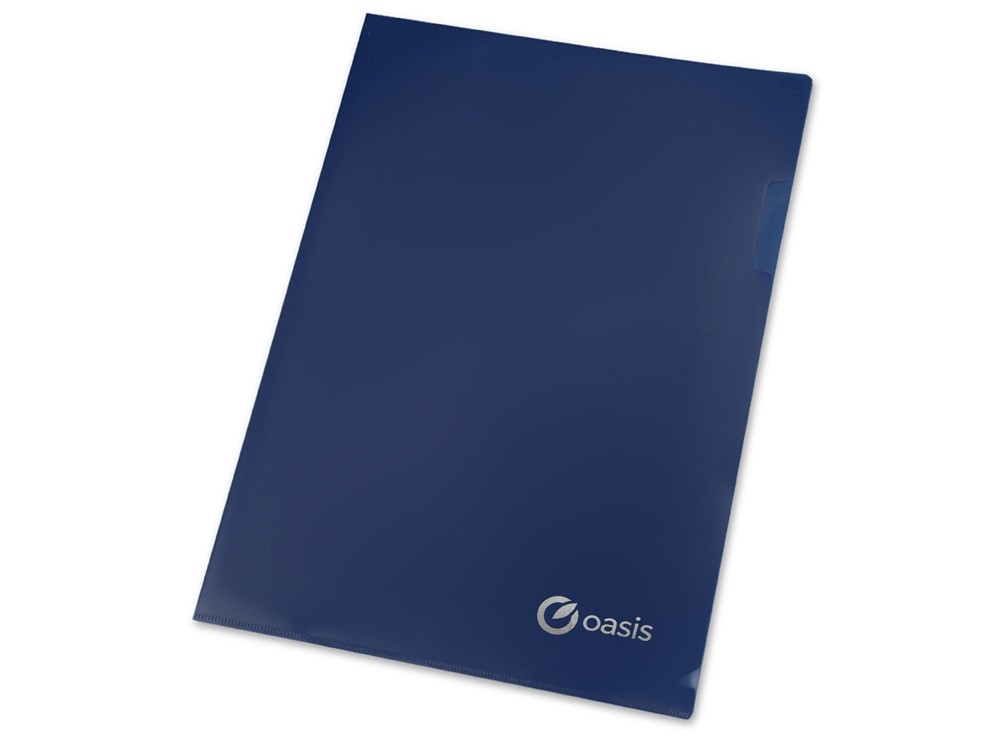 Папка- уголок А4, матовая - 4