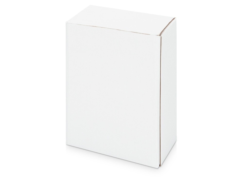 Часы Государственное устройство Российской Федерации - 5