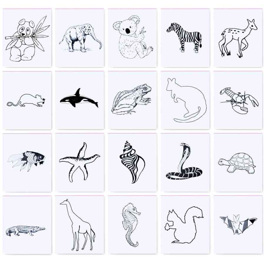 Набор цветных карандашей с раскрасками и точилкой "Figgy", 7,4х9х1,5см, дерево, картон, бумага - 2