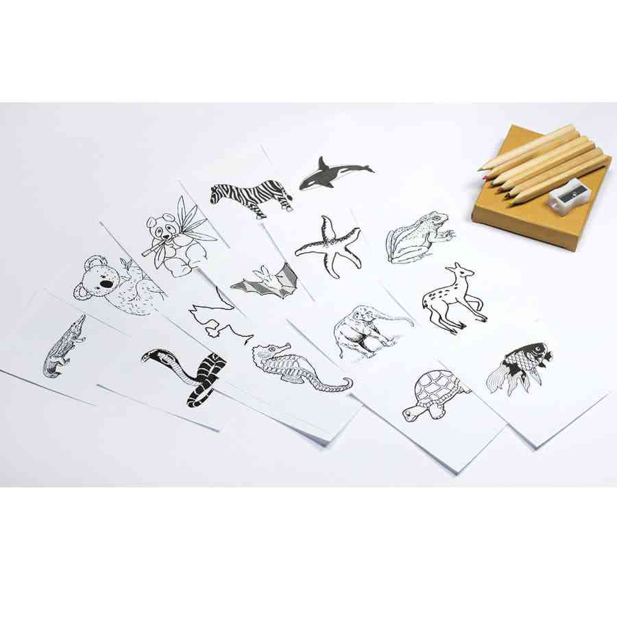 Набор цветных карандашей с раскрасками и точилкой "Figgy", 7,4х9х1,5см, дерево, картон, бумага - 5