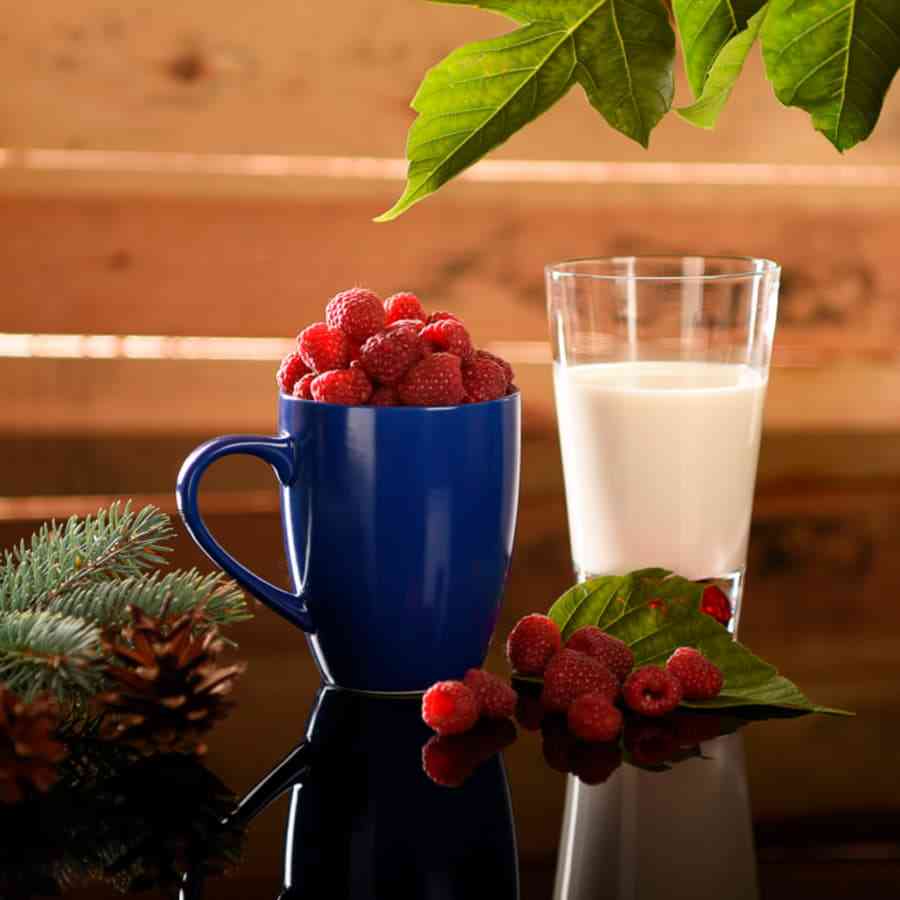 Кружка "Milar" - 5