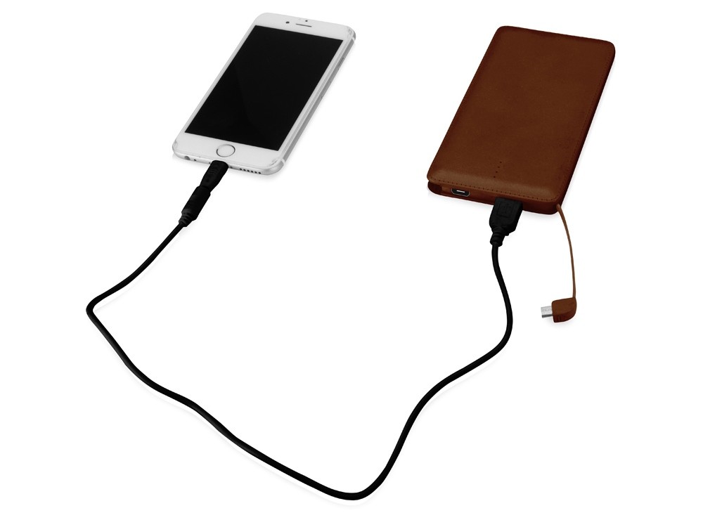 Внешний аккумулятор Стор, 10000 mAh - 3