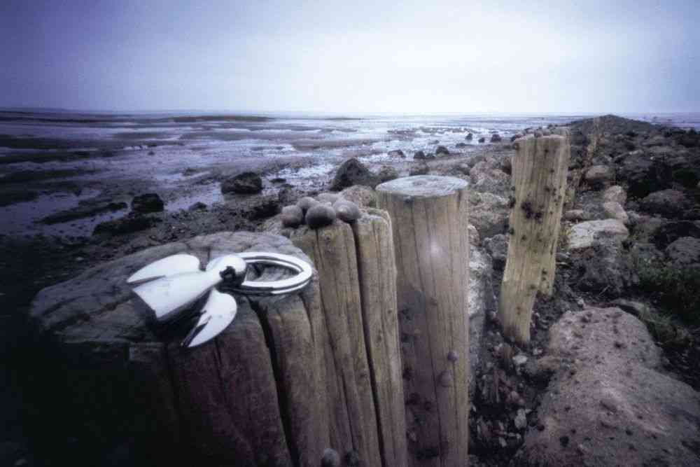 Брелок Angel - 2