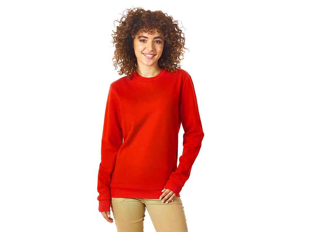 Свитшот Motion с начесом, унисекс - 3