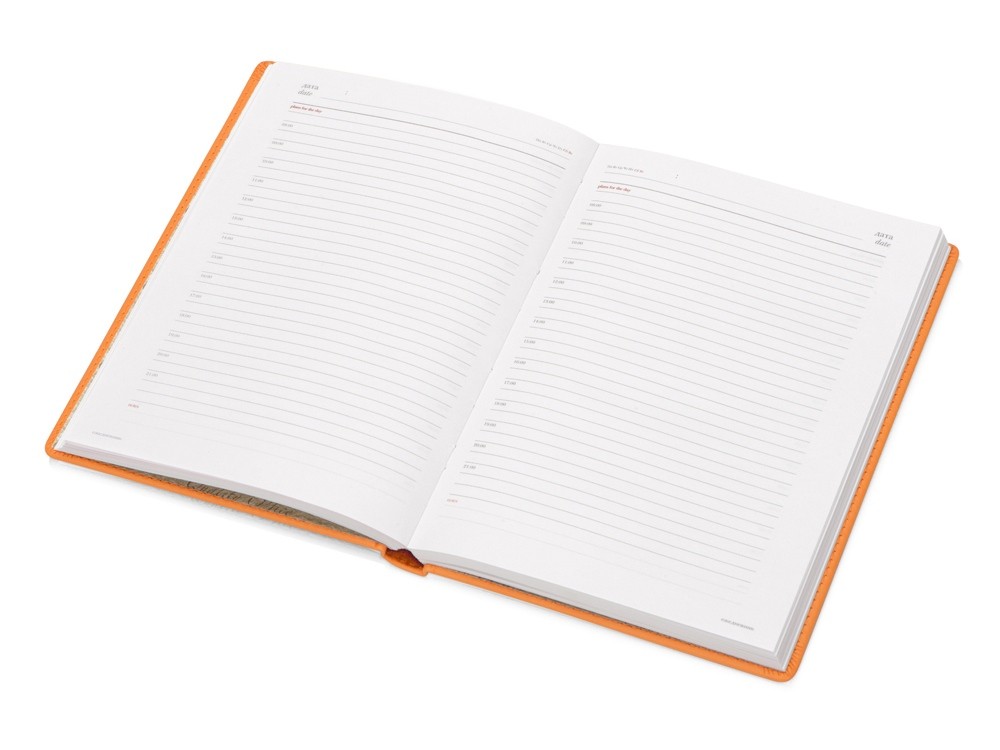 Ежедневник недатированный А5 Velvet - 2