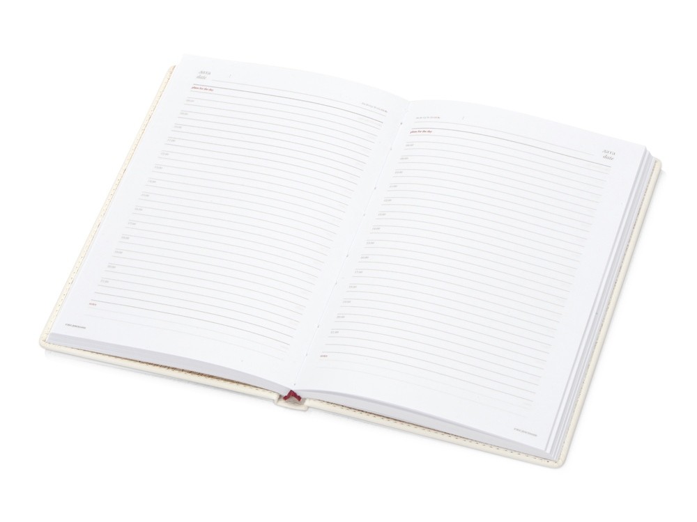 Ежедневник недатированный А5 Velvet - 2