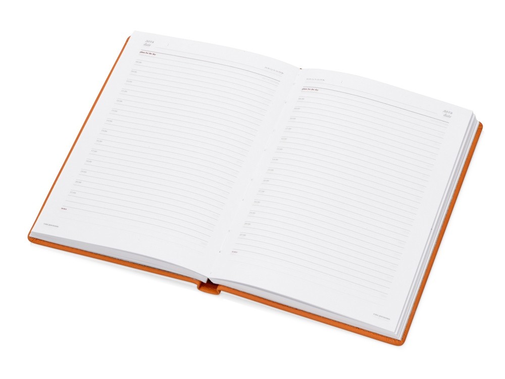 Ежедневник недатированный А5 Velvet - 2