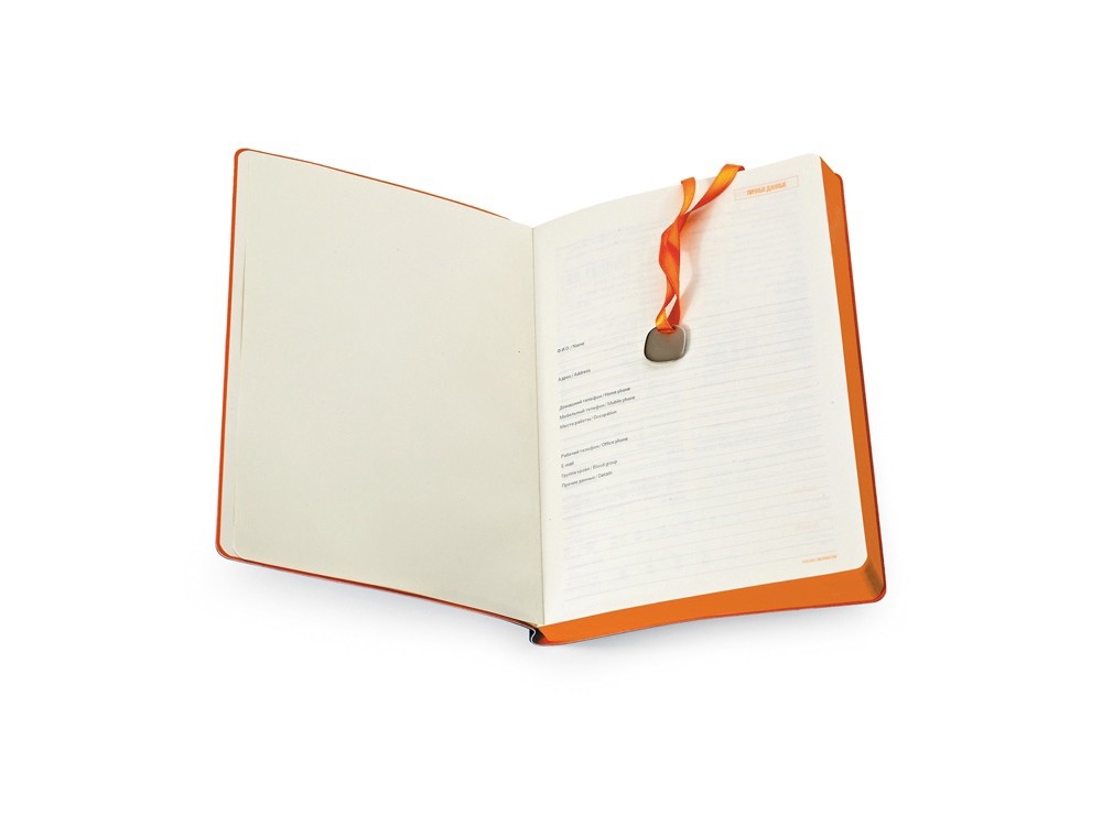 Ежедневник недатированный А5 Mercury - 3