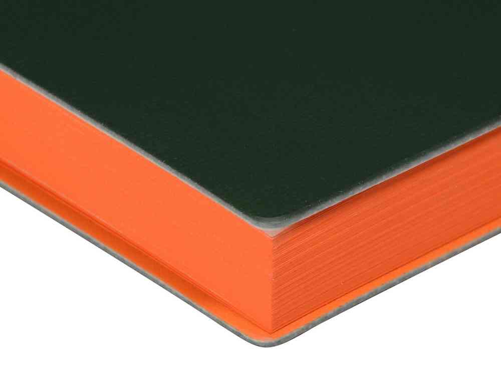 Ежедневник недатированный А5 Mercury - 6