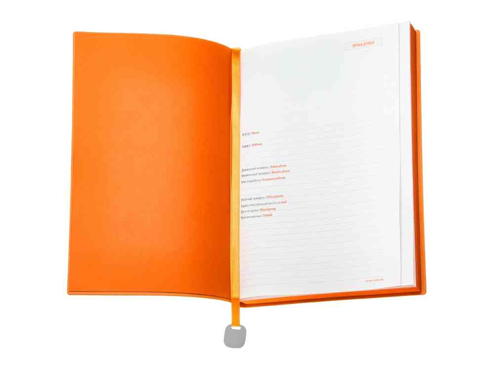 Ежедневник недатированный А5 Mercury - 2