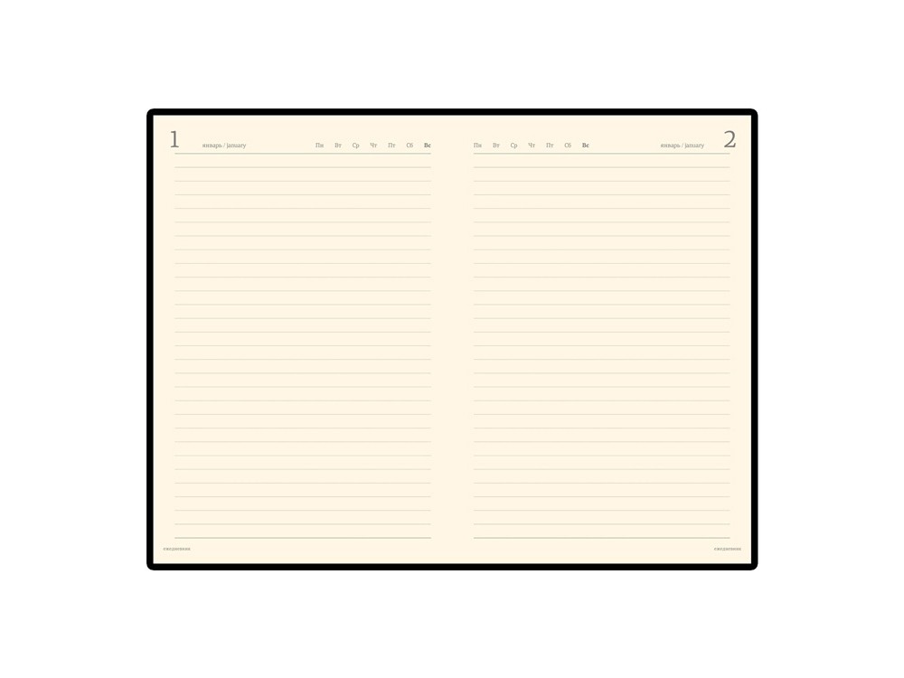 Ежедневник полудатированный портфолио А5 Profy - 3