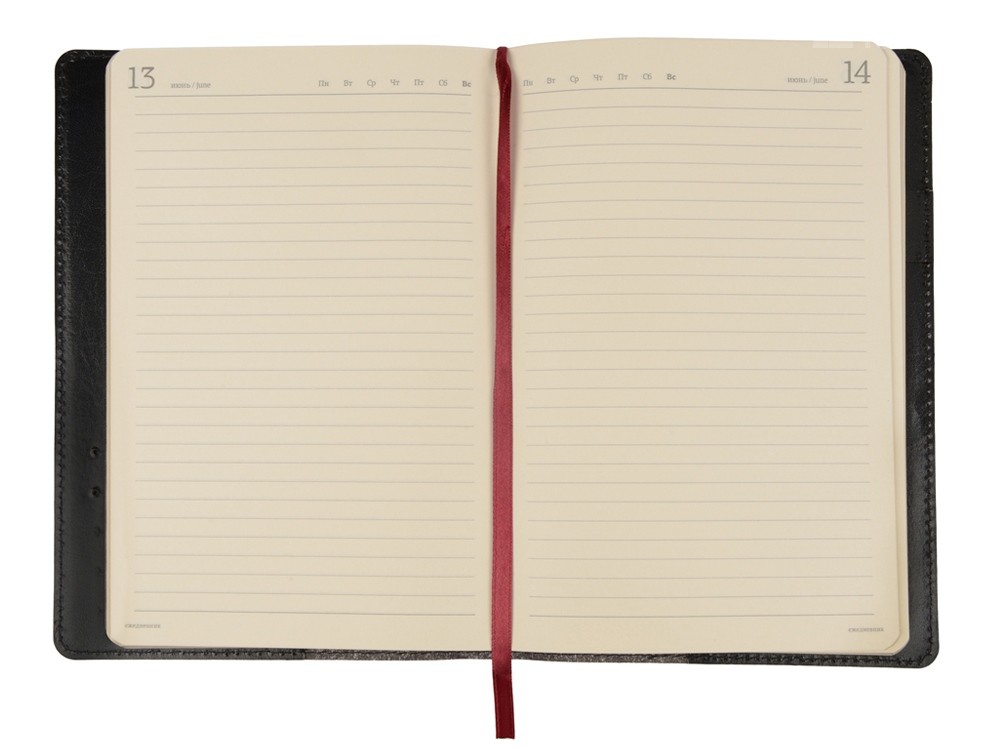 Ежедневник полудатированный портфолио А5 Profy - 3