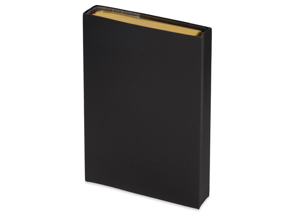 Ежедневник полудатированный портфолио А5 Profy - 9