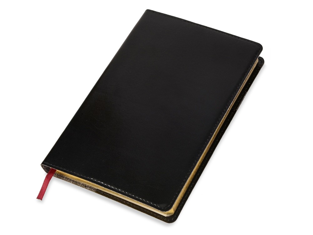 Ежедневник полудатированный портфолио А5 Profy - 4