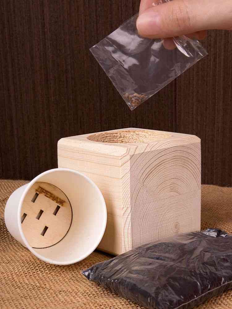 Набор для выращивания «Экокуб», сосна - 6