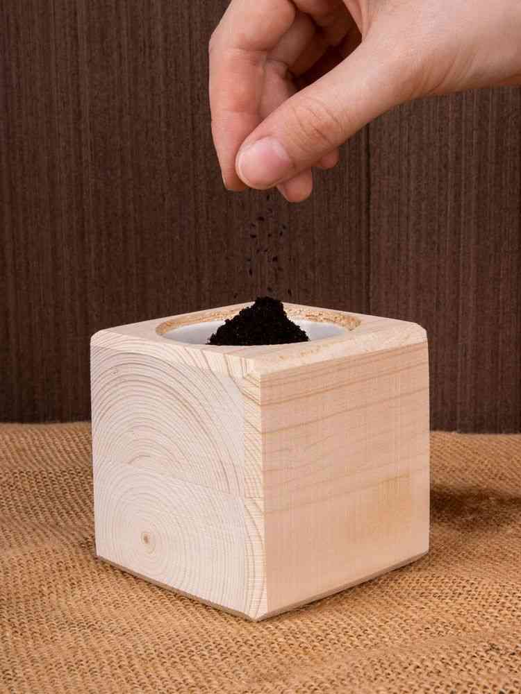 Набор для выращивания «Экокуб», сосна - 7