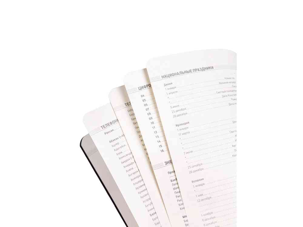 Ежедневник недатированный А5 Megapolis Flex - 3