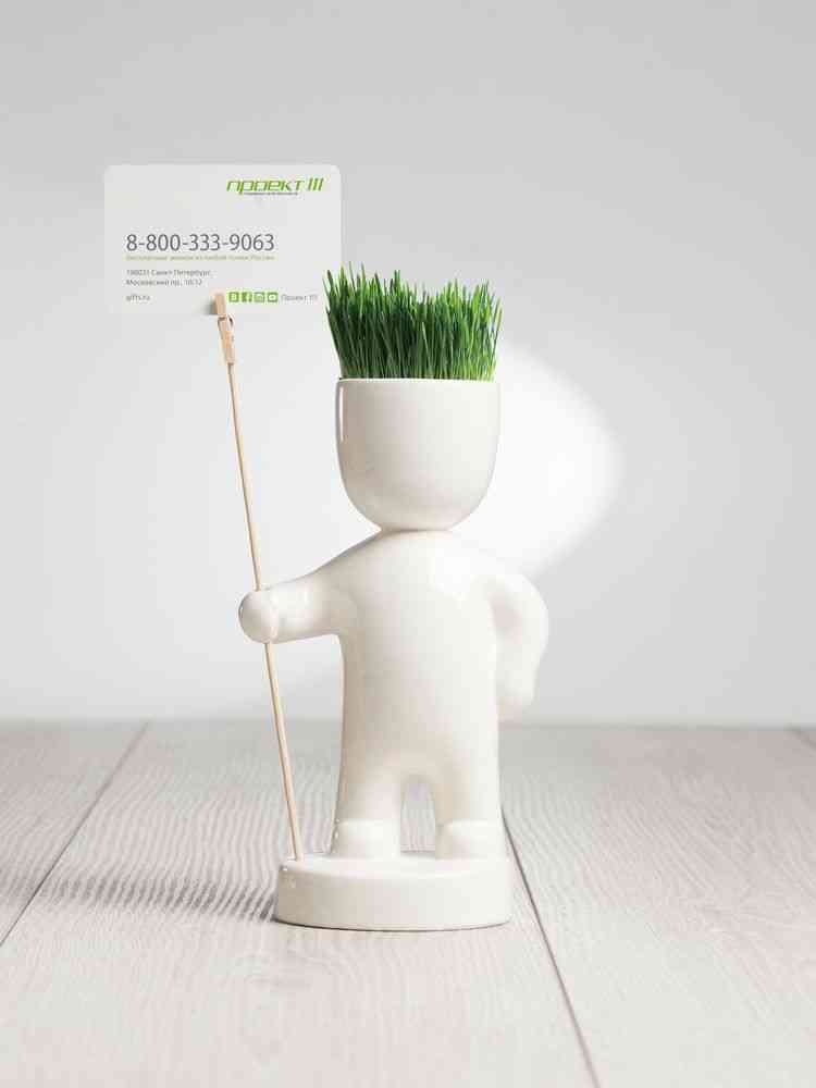 Набор для выращивания Funky Headman - 5