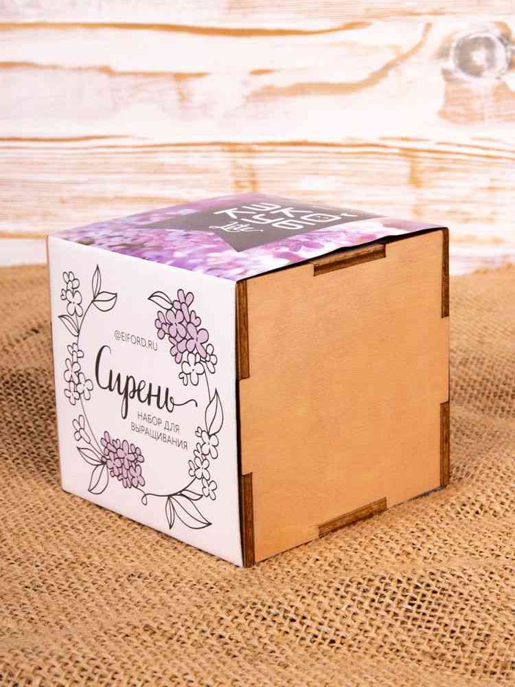 Набор для выращивания «Экокуб Lite», сирень - 9