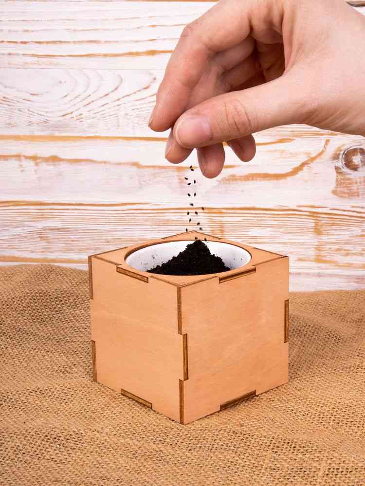 Набор для выращивания «Экокуб Lite», сирень - 11