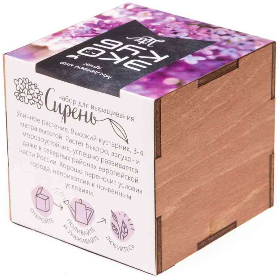 Набор для выращивания «Экокуб Lite», сирень - 4