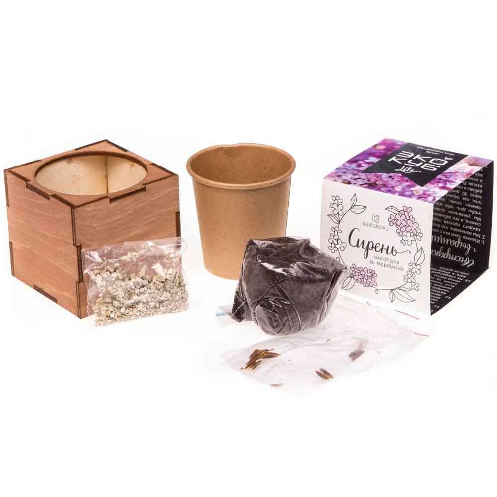 Набор для выращивания «Экокуб Lite», сирень - 5