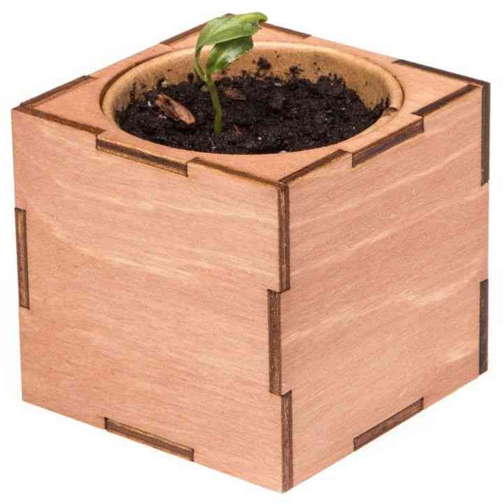 Набор для выращивания «Экокуб Lite», сирень - 6