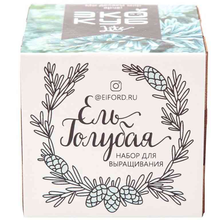 Набор для выращивания «Экокуб Lite», ель голубая - 2