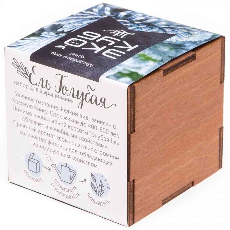 Набор для выращивания «Экокуб Lite», ель голубая - 5