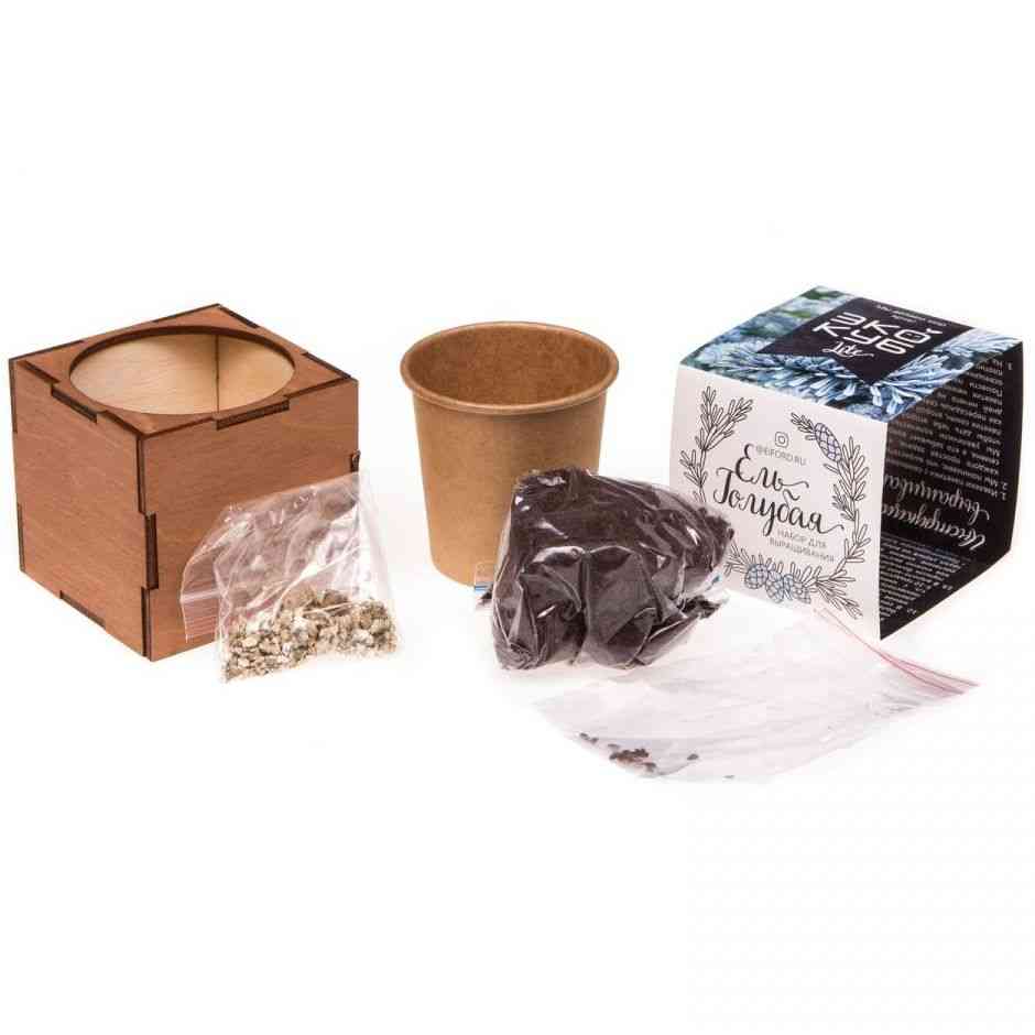 Набор для выращивания «Экокуб Lite», ель голубая - 6