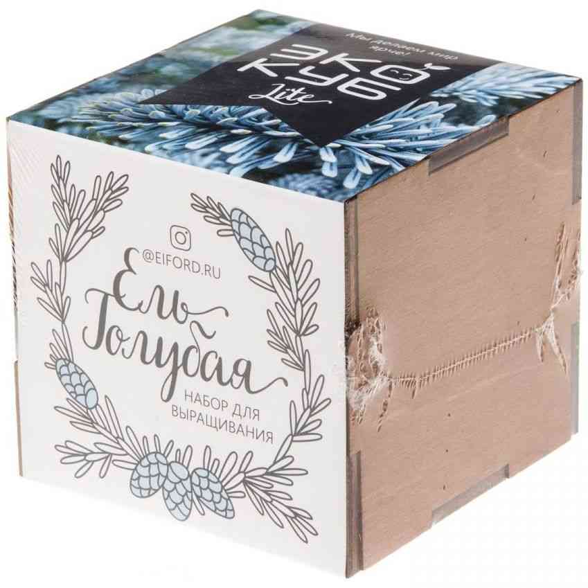 Набор для выращивания «Экокуб Lite», ель голубая - 7