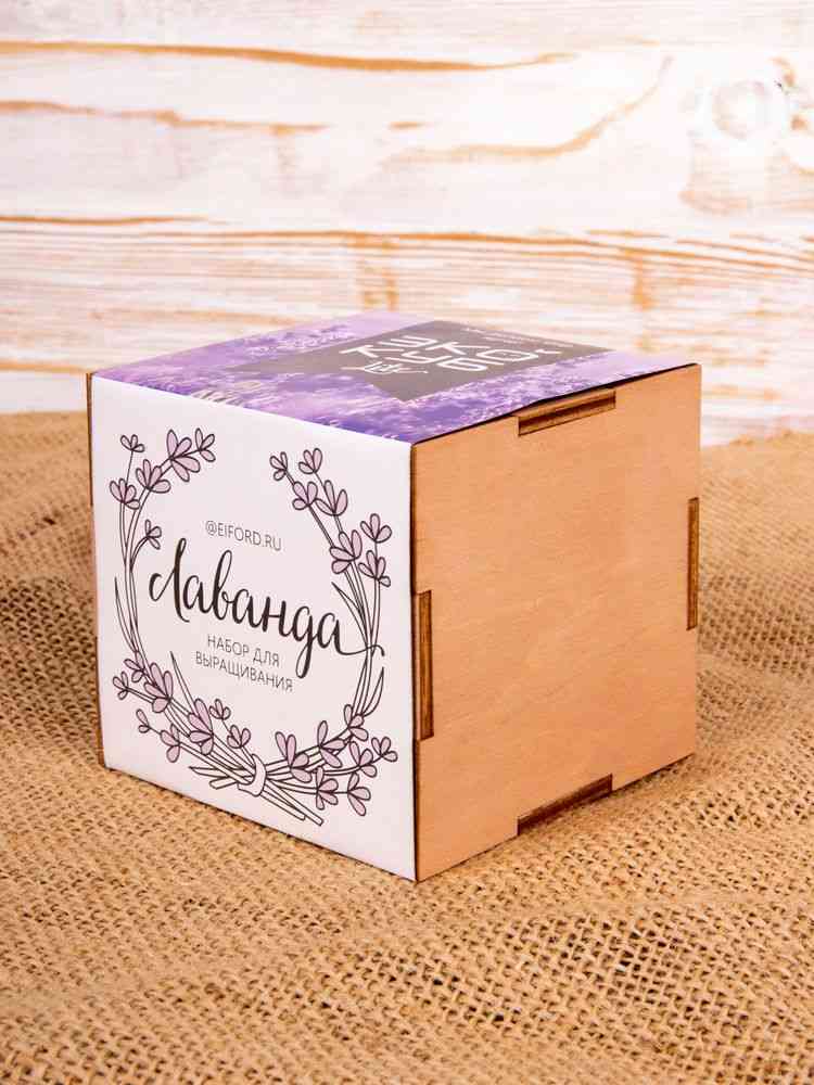 Набор для выращивания «Экокуб Lite», лаванда - 8