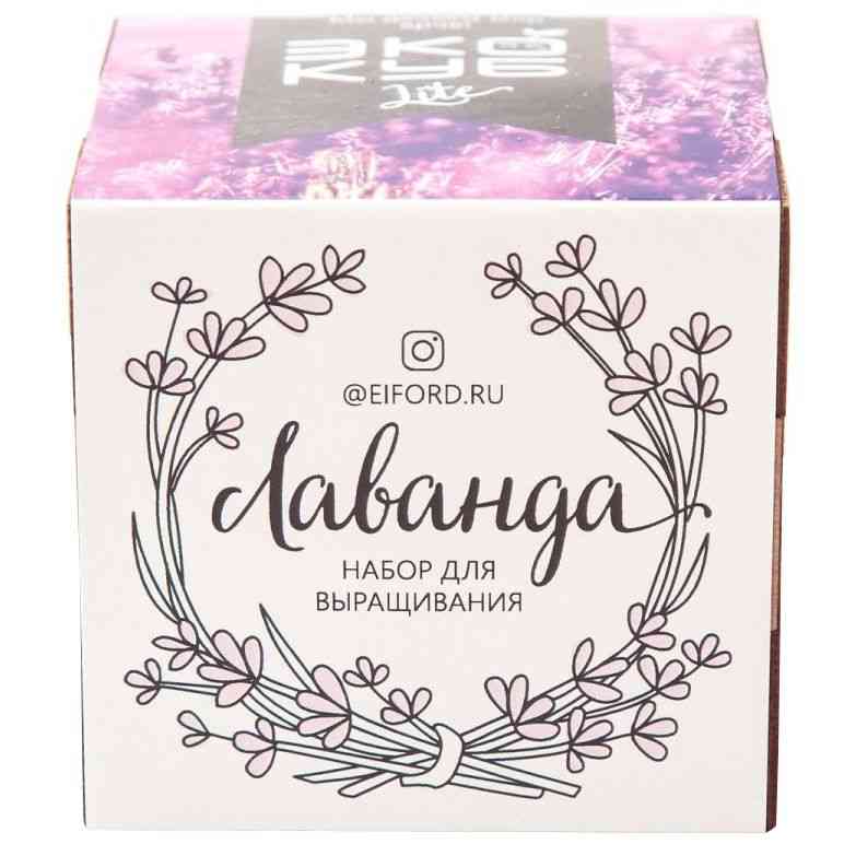 Набор для выращивания «Экокуб Lite», лаванда - 4