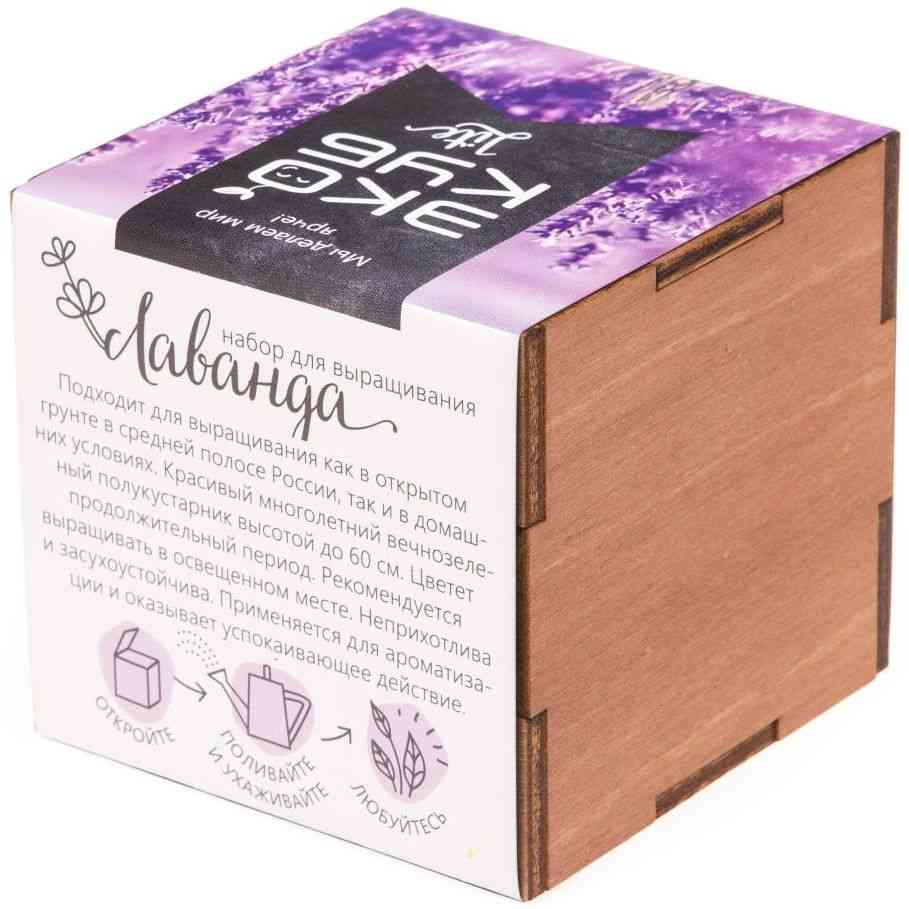 Набор для выращивания «Экокуб Lite», лаванда - 5