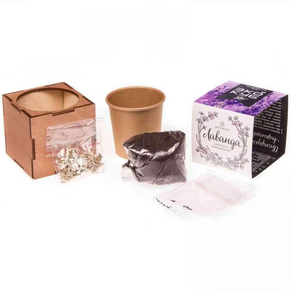 Набор для выращивания «Экокуб Lite», лаванда - 6