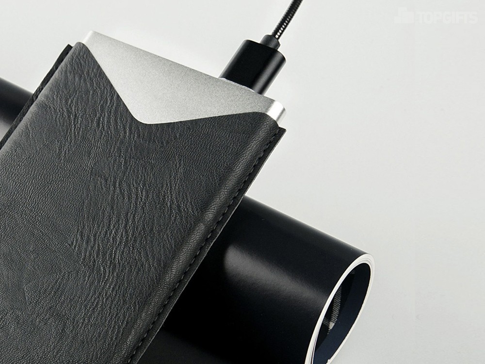 Внешний аккумулятор NEO AX100L, 10000 mAh - 12