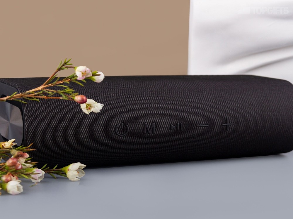 Портативная колонка Mysound Orion - 10