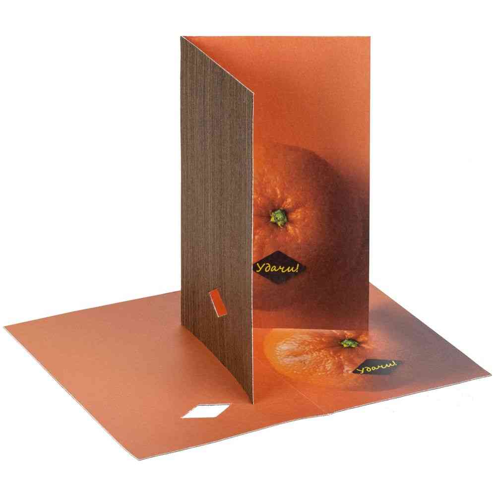 Набор Tangerine Dream, оранжевый - 6