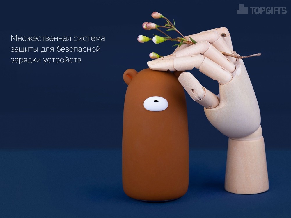 Внешний аккумулятор NEO Teddy, 10000mAh - 8