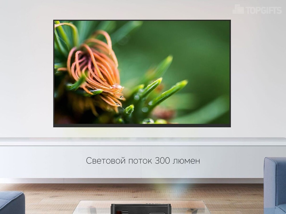 Проектор Ray L300 №6