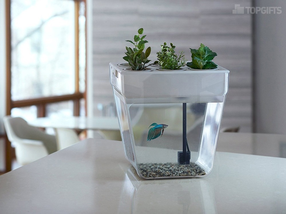 Набор для выращивания растений и ухода за рыбкой Акваферма - 5