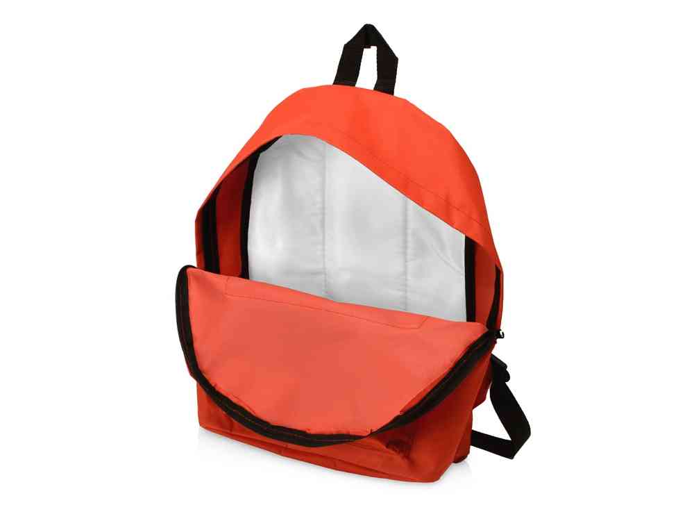 Рюкзак Спектр - 3