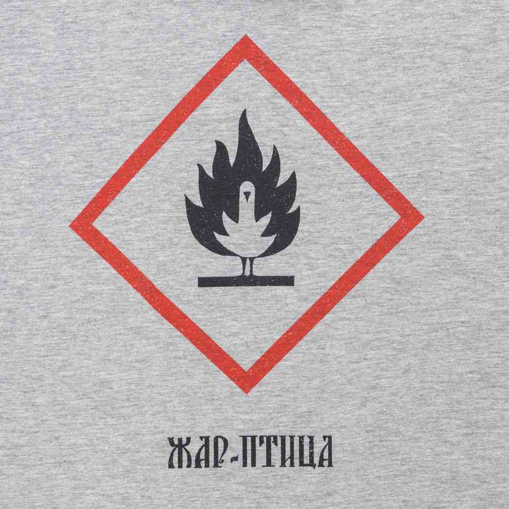 Футболка «Жар-птица», серый меланж - 3