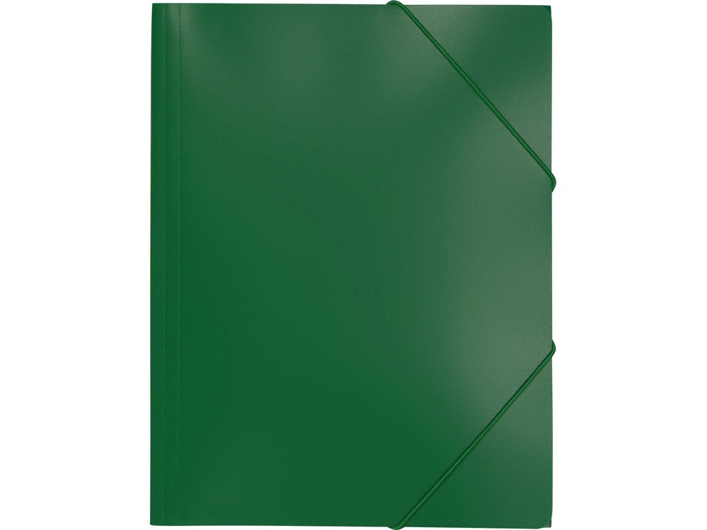 Папка А4 на резинке - 2