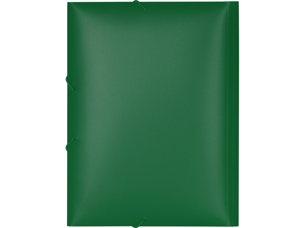 Папка А4 на резинке - 4