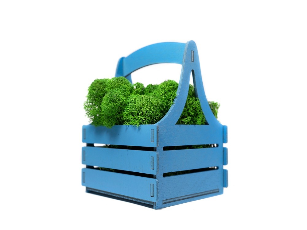 Композиция Корзинка со мхом - 3