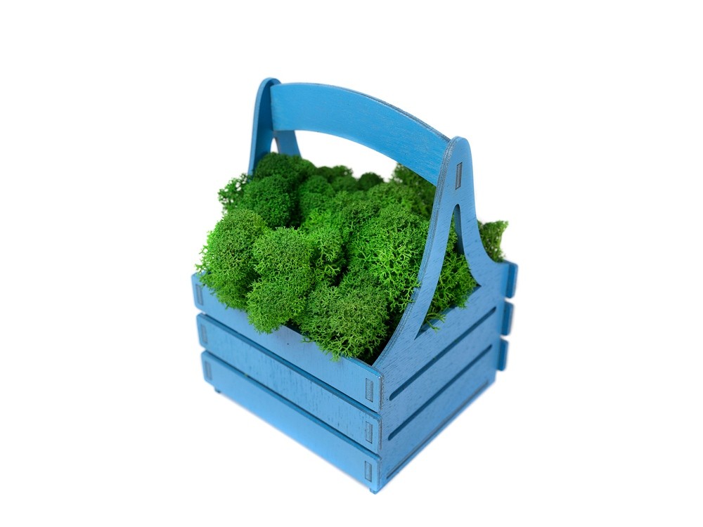 Композиция Корзинка со мхом - 4