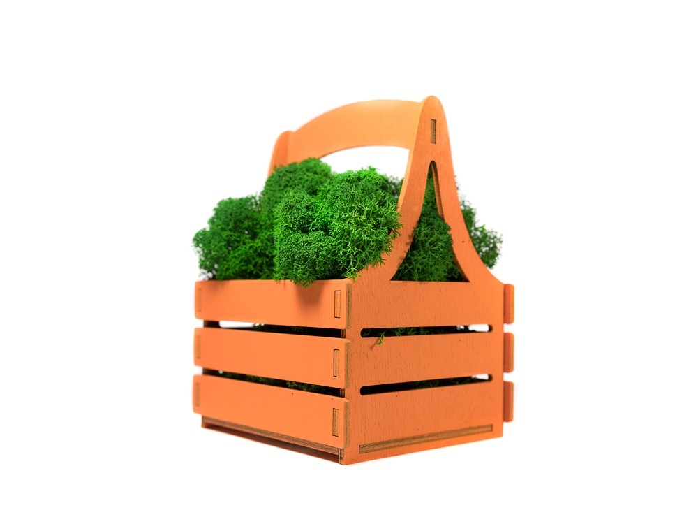 Композиция Корзинка со мхом - 3