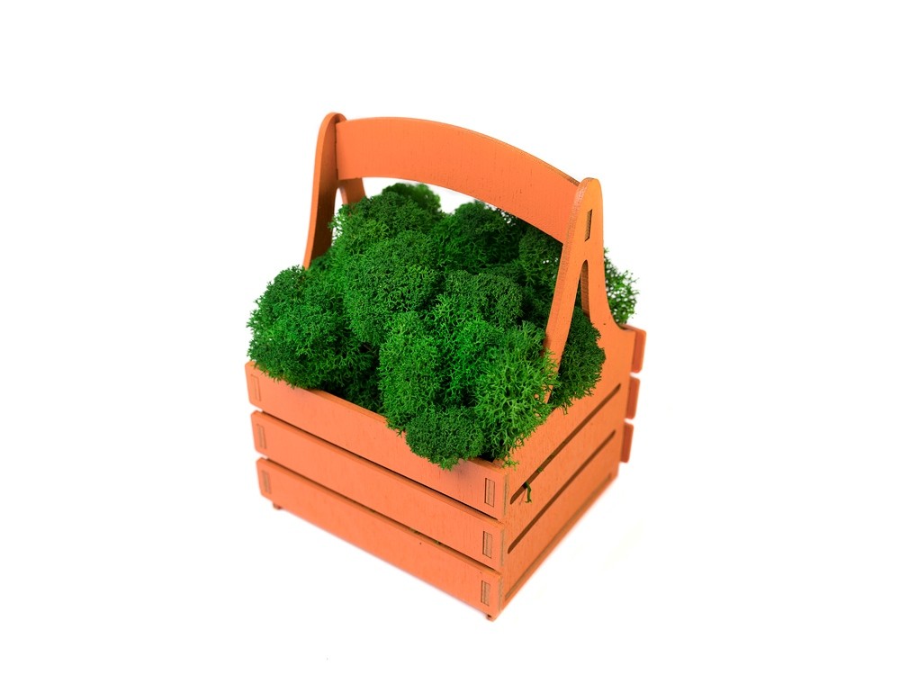 Композиция Корзинка со мхом - 4