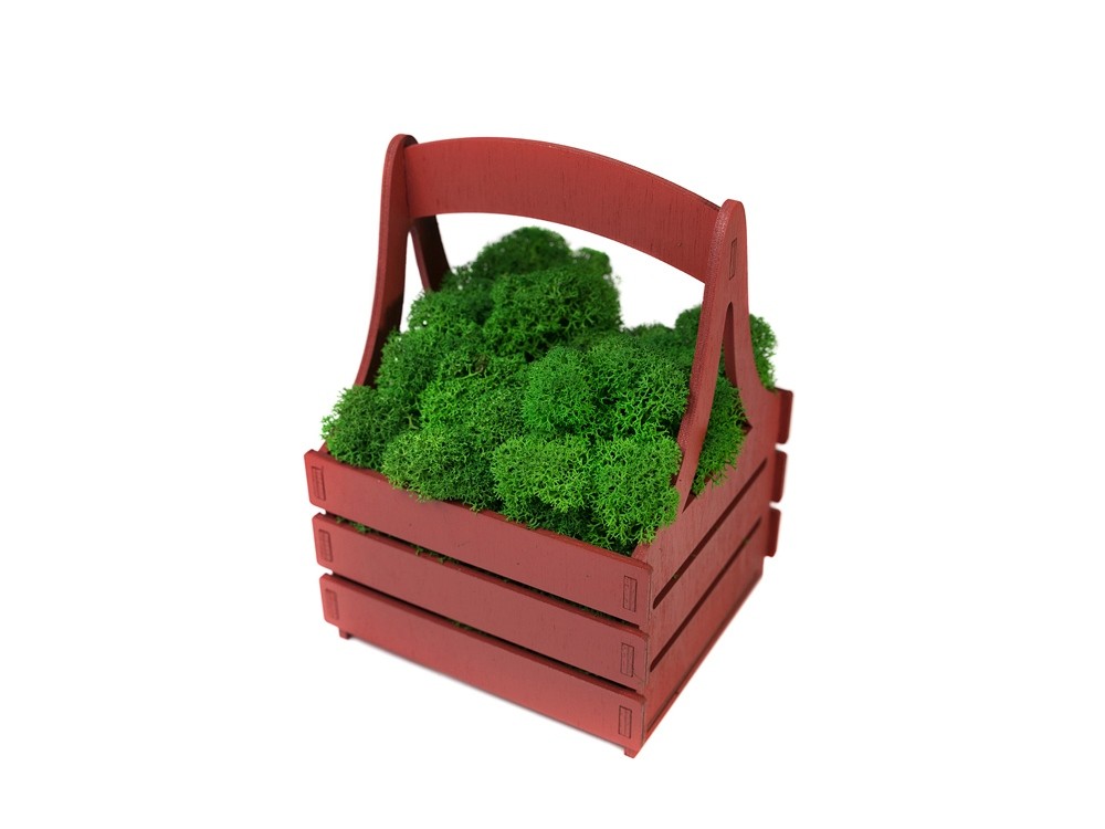 Композиция Корзинка со мхом - 4